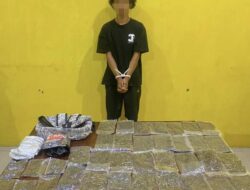 Polresta Sorong Kota Kembali Ungkap Peredaran Ganja Asal Jayapura