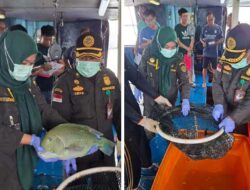 Ekspor Ikan Natuna Tembus 1,2 Miliar, Karantina Kepri Pastikan Semua Sehat