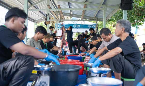 PLN Tebar Keberkahan Iduladha 1447 H di Tanah Papua: Salurkan 23 Hewan Kurban 2 PLN Berkurban Iduladha 1447 H2