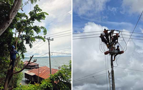 PLN Usung "Gerebek Penyulang" Amankan Pasokan Energi Listrik-Iduladha 1447 H di Papua 2 PLN Gerebek Serentak se Tanah Papua2