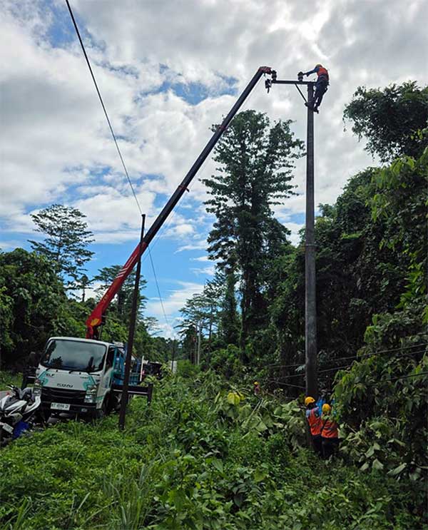 PLN Usung "Gerebek Penyulang" Amankan Pasokan Energi Listrik-Iduladha 1447 H di Papua 3 PLN Gerebek Serentak se Tanah Papua3