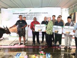 Gubernur Meki Serahkan Hewan Kurban Bantuan Presiden RI-Pemprov Papua Tengah