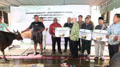 Gubernur Meki Serahkan Hewan Kurban Bantuan Presiden RI-Pemprov Papua Tengah 14 Pemprov PT Serahkan Hewan Kurban