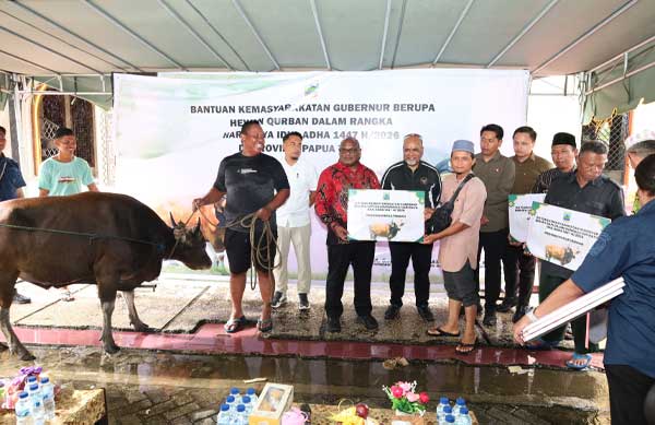Gubernur Meki Serahkan Hewan Kurban Bantuan Presiden RI-Pemprov Papua Tengah 2 Pemprov PT Serahkan Hewan Kurban2