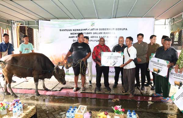Gubernur Meki Serahkan Hewan Kurban Bantuan Presiden RI-Pemprov Papua Tengah 3 Pemprov PT Serahkan Hewan Kurban3