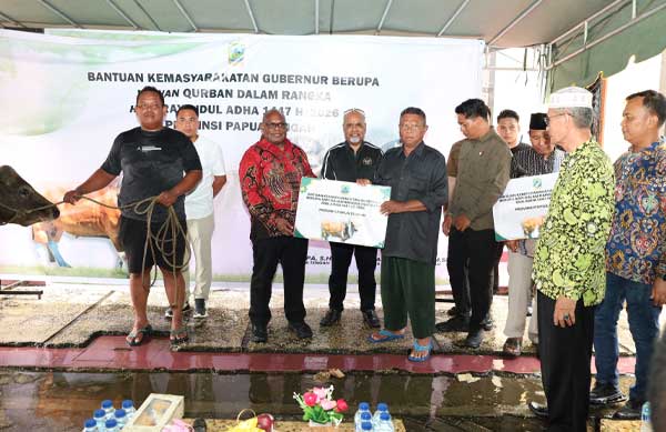 Gubernur Meki Serahkan Hewan Kurban Bantuan Presiden RI-Pemprov Papua Tengah 4 Pemprov PT Serahkan Hewan Kurban4