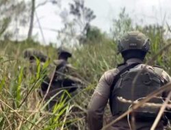 Update Pembunuhan 10 Pendulang Emas di Awimbon: Ini Fokus Aparat Gabungan