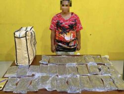Bawa 597 Gram Ganja Seorang Perempuan Diamankan Satresnarkoba Polresta Sorong Kota