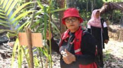 OPINI: “Papua Bukan Tanah Kosong” 2 Kristhina Luluporo2