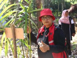 OPINI: “Papua Bukan Tanah Kosong”