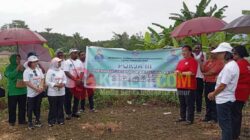 TP-PKK Mimika Gencar Tanam Pohon Sayur Kelor: Program Prioritas Papua Tengah 9 PKK Mimika Tanam Kelor di Distrik MBJ
