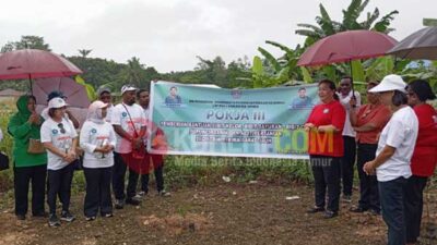 TP-PKK Mimika Gencar Tanam Pohon Sayur Kelor: Program Prioritas Papua Tengah 25 PKK Mimika Tanam Kelor di Distrik MBJ