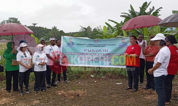 PKK Mimika Tanam Kelor di Distrik MBJ