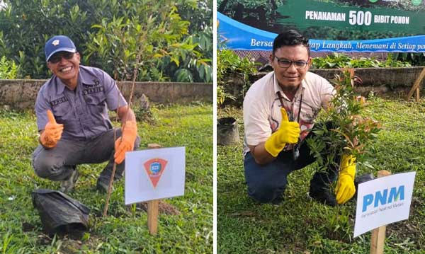 PNM Tanam 500 Pohon Dukung GARTAG, Perkuat Ruang Hijau Kota Ambon 2 PNM Tanam 500 Pohon Dukung GARTAG