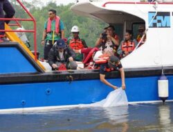 PTFI Dukung Penuh Keberlanjutan Ekosistem Pesisir Mimika, Pemda Apresiasi