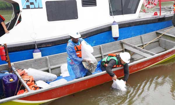 PTFI Dukung Penuh Keberlanjutan Ekosistem Pesisir Mimika, Pemda Apresiasi 3 PTFI Dukung Keberlanjutan Ekosistem Pesisir Mimika3