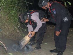 Geger Penemuan Bahan Peledak UXO di Sentani, Tim Jibom Berhasil Netralisir
