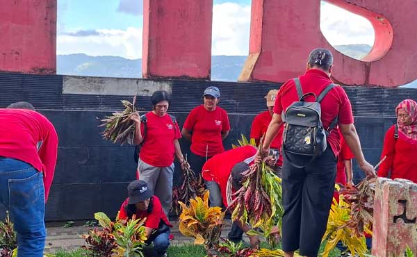 Plt. Camat Teluk Ambon Pimpin Aksi Tanam Gadihu di ACoM, Libatkan Pelajar dan Masyarakat 2 Camat Teluk Ambon Aksi Tanam Gadihu di Tugu ACoM2