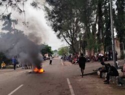 P2MPKS Tagih Janji Gubernur Elisa Kambu : Tuntut Pemberdayaan Mama-Mama Papua