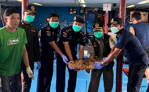 Lolos Pemeriksaan Karantina, 10.362 Ekor Ikan Asal Natuna Diekspor Lagi ke Hongkong 2 Karantina Natuna2