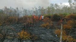 Kebakaran Landa Hutan Tomage, Personel Polsek Bomberay Tangani Titik Api 2 Kebakaran Hutan Tomage Fakfak