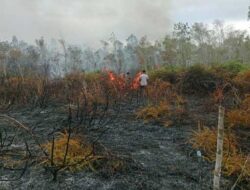 Kebakaran Landa Hutan Tomage, Personel Polsek Bomberay Tangani Titik Api