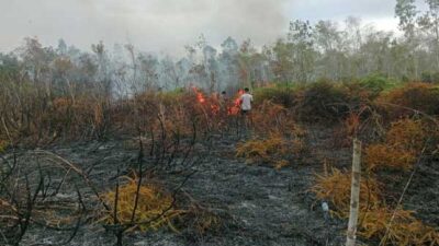 Kebakaran Landa Hutan Tomage, Personel Polsek Bomberay Tangani Titik Api 14 Kebakaran Hutan Tomage Fakfak