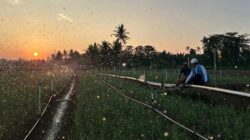 PLN Tarif Listrik Triwulan 3 Tetap