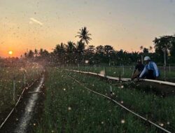 Jaga Stabilitas Ekonomi, PLN Tak Naikkan Tarif Listrik Triwulan III 2026