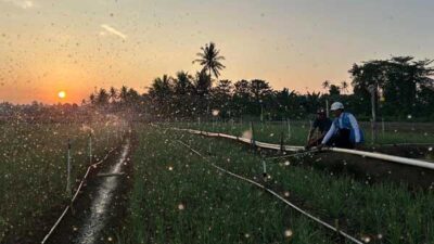 PLN Tarif Listrik Triwulan 3 Tetap