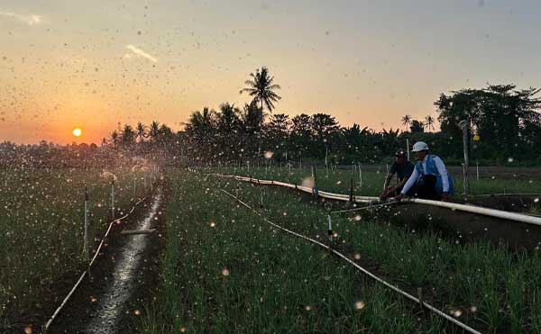 PLN Tarif Listrik Triwulan 3 Tetap