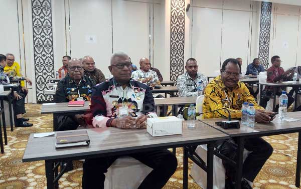 Dialog Strategis Bersama Kepala Daerah se-Tanah Papua, Ini 5 Penekanan Wamen PPN 2 Wamen PPN Kepala Derah