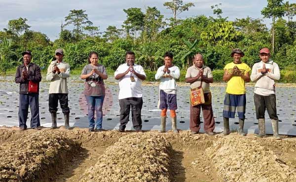 YPTP Diusulkan Jadi Koperasi Binaan Pemprov Papua Tengah 2 YPTP Mimika Koperasi Binaan Pemprov Papua Tengah2