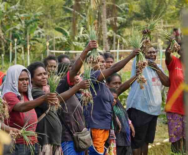 Petani Klayas Sukses Panen Raya Berkat Pendampingan Kilang Kasim 1 1787885614449