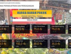 Disperindag Mimika Rilis Harga Bapok di Pasar Sentral Mimika, Cabai Turun Drastis