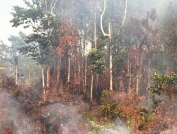 Waspada Dampak El Nino, BPBD Mimika Siagakan 11 Armada Distribusi Air Bersih
