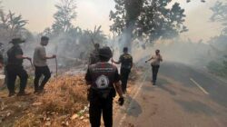 Karhutla Meluas di Nabire, Pemprov Papua Tengah Ajak Warga Kolaborasi Armada 3 Karhutla Nabire papua Tengah