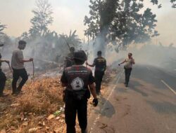 Karhutla Meluas di Nabire, Pemprov Papua Tengah Ajak Warga Kolaborasi Armada