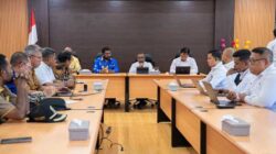 PLN-Pemda Sepakat Bersinergi Perkuat Keandalan Listrik di Mamberamo Raya 2 PLN Pemda Mambraya Perkuat Keandalan Listrik