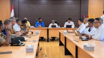 PLN-Pemda Sepakat Bersinergi Perkuat Keandalan Listrik di Mamberamo Raya