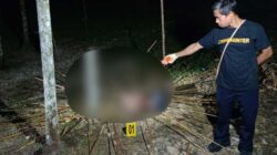 Polisi Turun Tangan, Usut Kasus Pembunuhan di Kwamki Narama 2 Polisi Usut Kasus Pembunuhan di Kwamki Narama