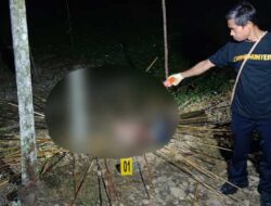 Polisi Turun Tangan, Usut Kasus Pembunuhan di Kwamki Narama