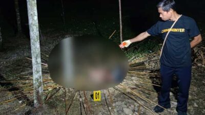 Polisi Turun Tangan, Usut Kasus Pembunuhan di Kwamki Narama 14 Polisi Usut Kasus Pembunuhan di Kwamki Narama