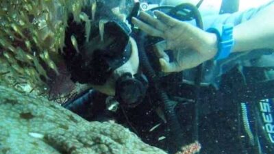 Pemandu Wisata Raja Ampat Soroti Aksi Penangkapan Hiu di Kawasan Konservasi Ayau