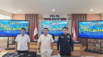 Polda PBD Ungkap Dugaan Pelanggaran Konservasi Penyu di Raja Ampat, Ini Detail Kasusnya