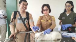 Pertahankan PBD Bebas Rabies, Barantin dan PDHI Layani Vaksinasi Hewan Gratis