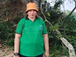 Akui Sarpras Pemangkasan Pohon Terbatas, Ini Harapan DPPLH Kota Sorong