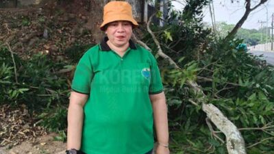 Akui Sarpras Pemangkasan Pohon Terbatas, Ini Harapan DPPLH Kota Sorong