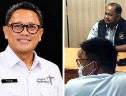 Pemprov PBD Dorong Penanganan Kasus Bunuh Penyu Sisik Harus Tuntas