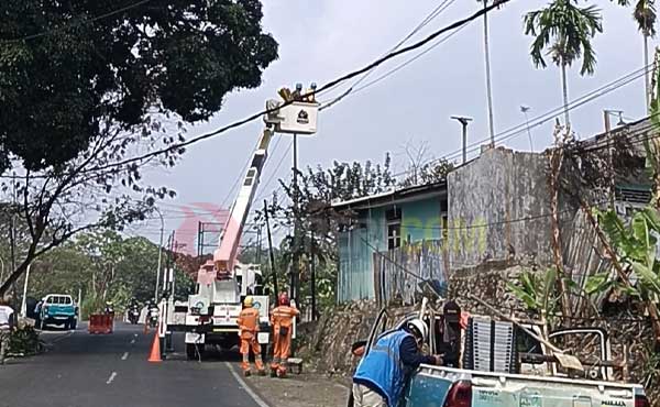 DLH Kota Sorong-PLN Kolaborasi Tebang Pohon di Puncak Arfak, Warga Apresiasi 3 Tebang Pohon di Puncak Arfak3
